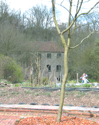Willsbridge Mill - Peter Milner
